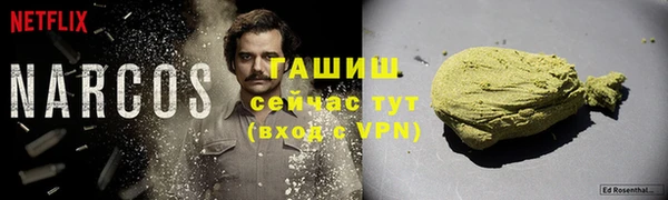 СК Алексин
